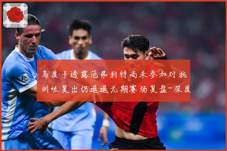 乌度卡透露范弗利特尚未参加对抗训练复出仍遥遥无期赛场复盘-深度解析