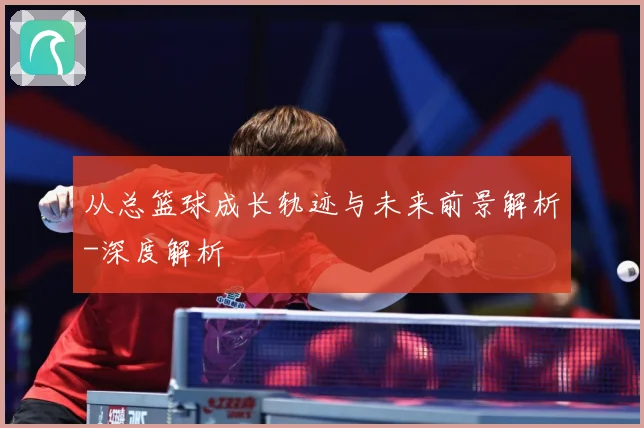 从总篮球成长轨迹与未来前景解析-深度解析