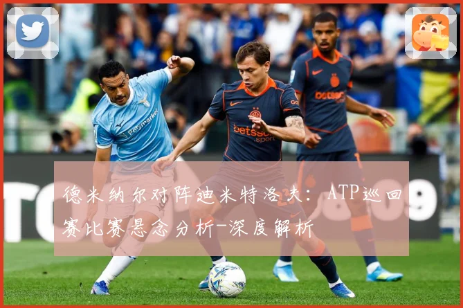 德米纳尔对阵迪米特洛夫：ATP巡回赛比赛悬念分析-深度解析