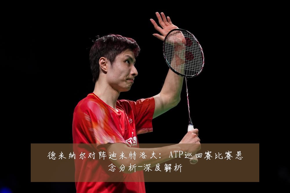 德米纳尔对阵迪米特洛夫:ATP巡回赛比赛悬念分析-深度解析